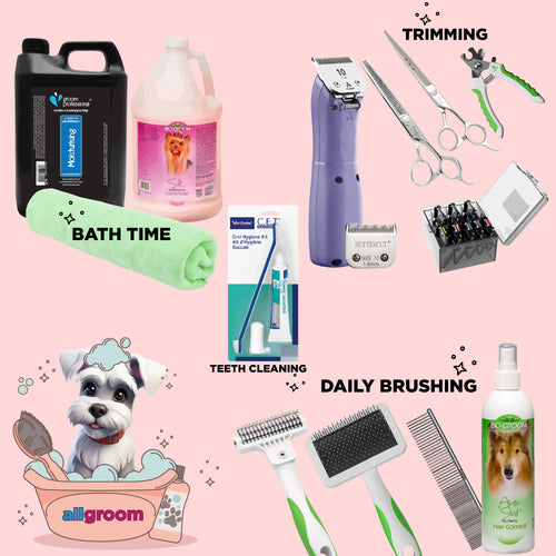 Schnauzer Home Grooming kit