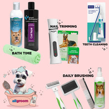 Load image into Gallery viewer, Dog Grooming Kit
Professional Grooming Set
Ultimate Grooming Essentials
Pet Grooming Starter Kit
All in One Grooming Collection
Schnauzer