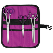 Load image into Gallery viewer, Witte Roseline 3 Piece Scissor Set with Case