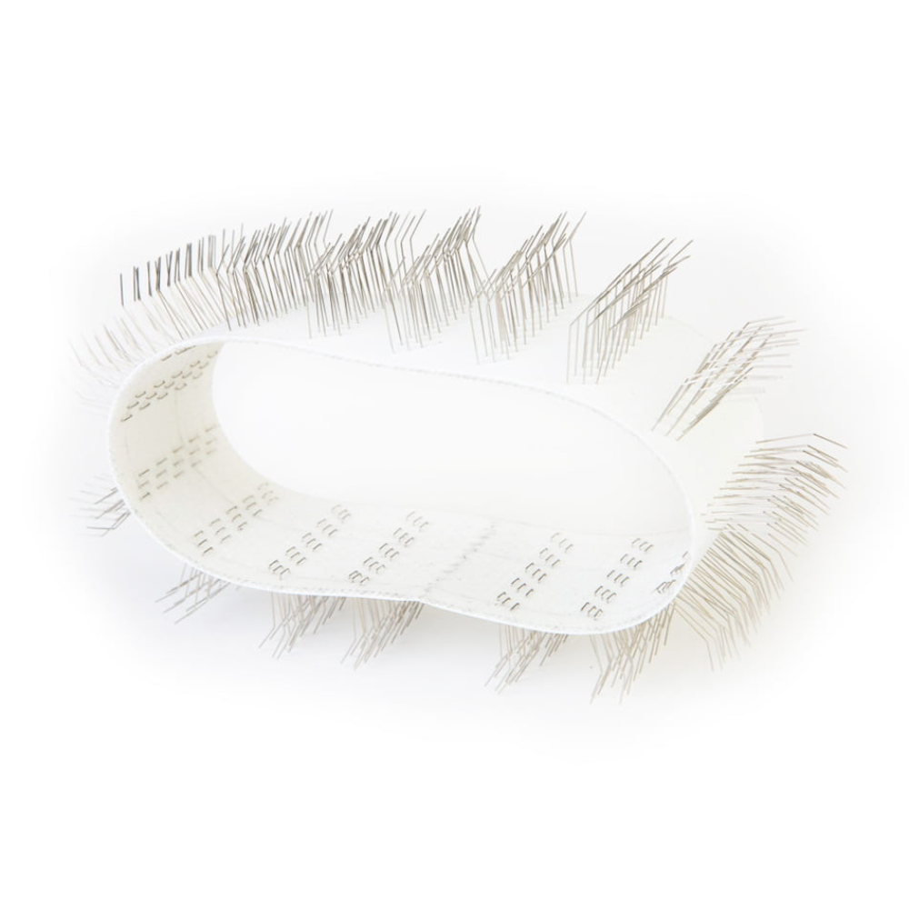 Auto dog brush clearance