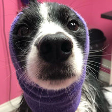 Load image into Gallery viewer, Happy Hoodie Dog Snood Large - Purple