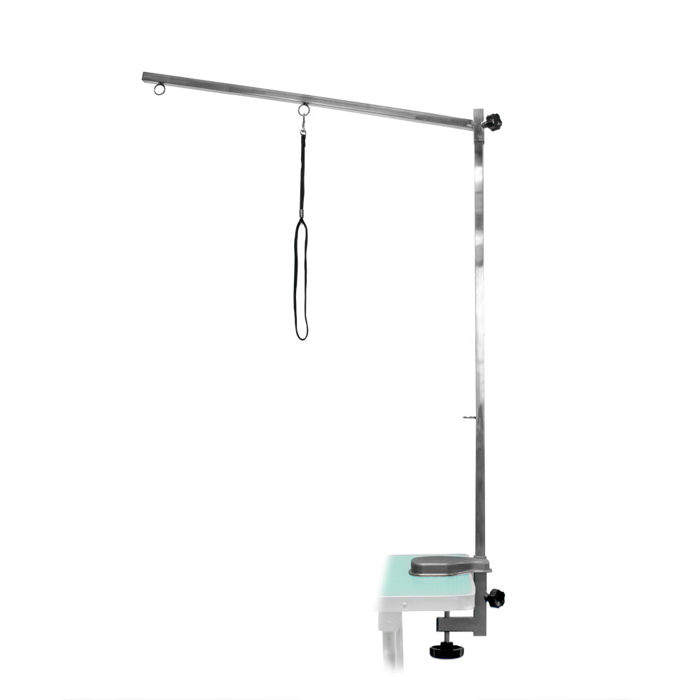 Portable grooming table outlet with arm