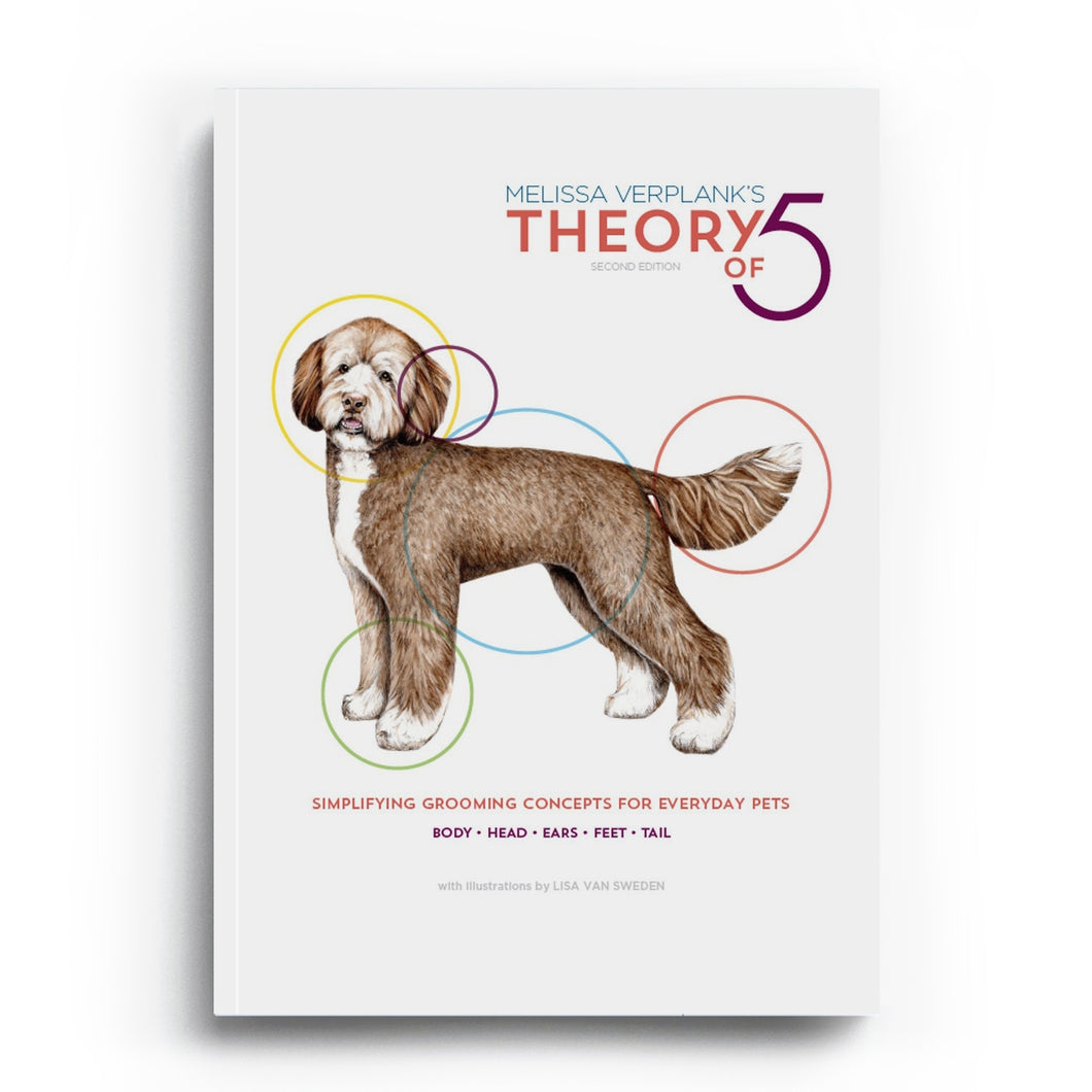 The Theory of 5 by Melissa Verplank